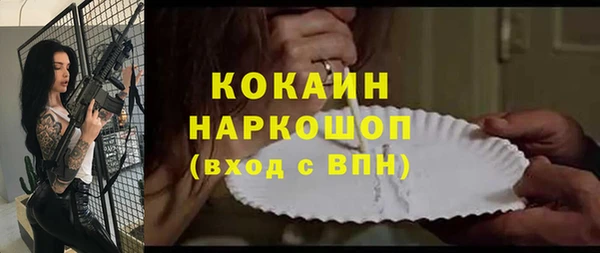 PSILOCYBIN Гусиноозёрск